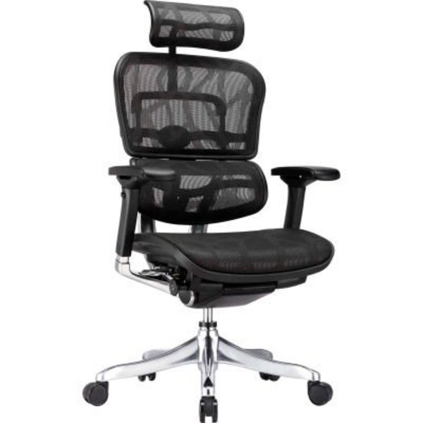 Raynor Marketing Eurotech Ergo Elite Executive High Back Chair